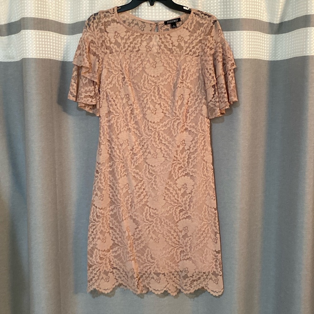 Size 4 Light Pink Lace Dress